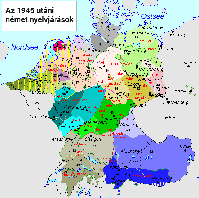 A német nyelv nemzeti és regionális változatai